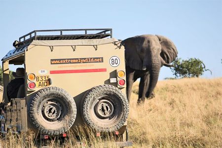 Moremi day trip