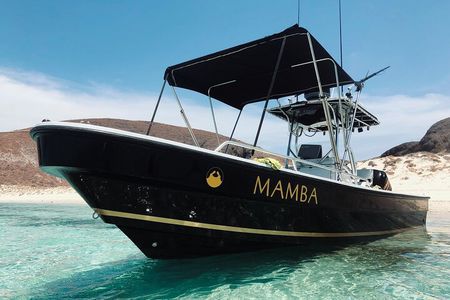 Balandra Private Boat Tour