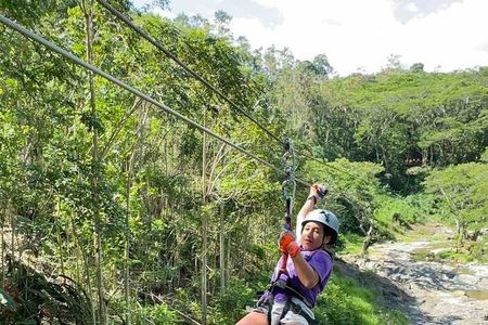 6 Hours Giant Zipline Adventure Park in Fiji