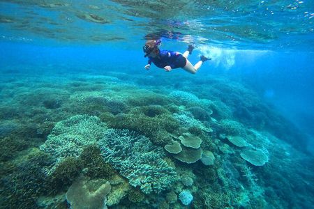 Kayak & Snorkel: private tour in Yanbaru, north Okinawa