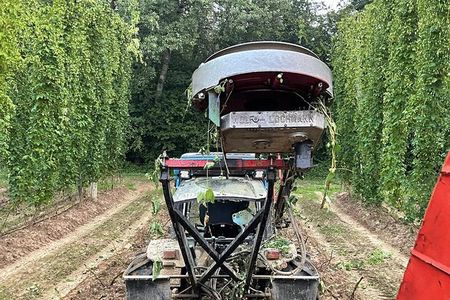 Hallertau experience with hop harvest, lunch and hop museum