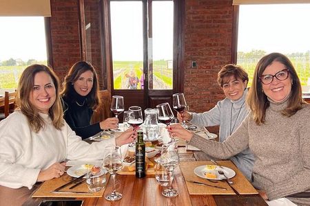 Discover why we Love the Colonia Wine Experience 