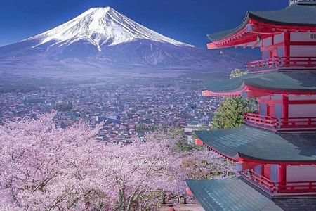  Mt. Fuji & Hakone VIP One Day Tour With Pick-up & Drop-off 