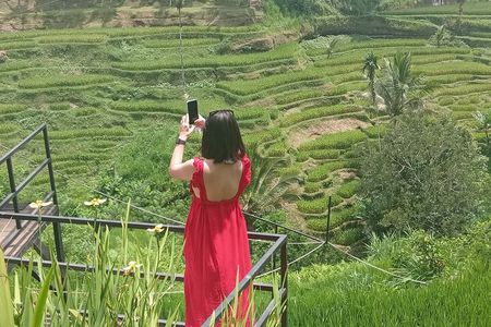 Best Of Ubud Half Day Private Guided Tour