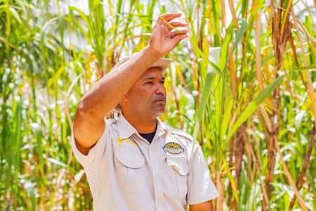 Dominican Countryside Half Day Tour
