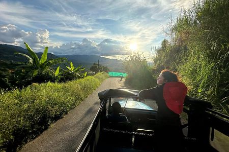 Coffee Region Hidden Gems: Coffee Farm, Pijao & Buenavista