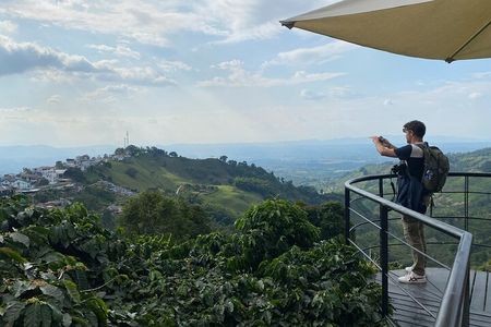 Coffee Region Andes Mountains: Coffee Tour, Pijao & Buenavista