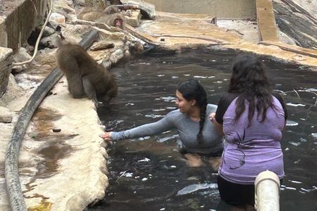 Full Day Snow Monkey Park Tour, From/To Tokyo, 2-12 guests
