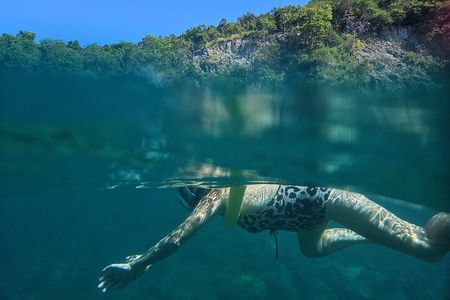 VIP Private Guided Scuba Diving/Snorkeling Excursion 