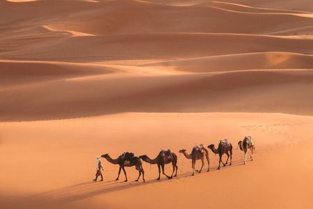 Fes To Marrakech: 3-Day Desert Tour