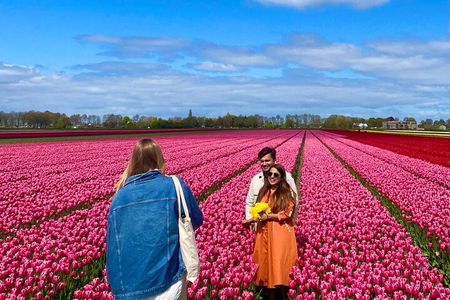 Discover Holland’s Beautiful Tulip Fields with an Expert Guide