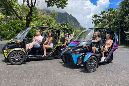 FUV Self Guided Island Adventure Tour 