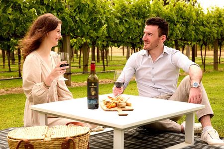 Picnic and Wine Tasting Experience in the Barossa Valley