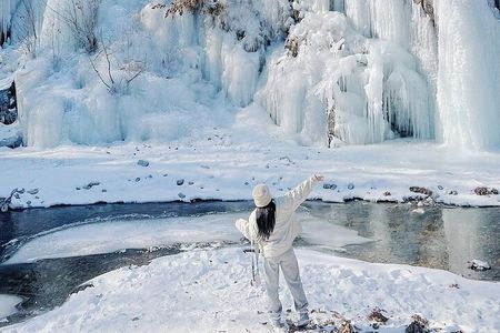 Eobi Ice Wall & Nami Island & Morning Calm Light Festival