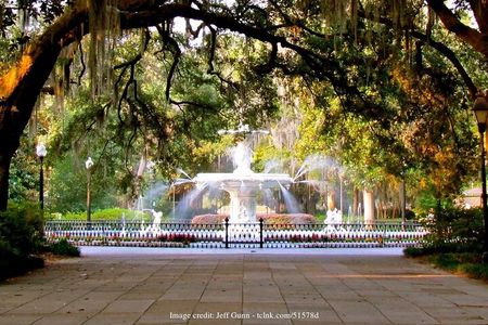 The Best of Savannah: Private Half-Day Walking Tour