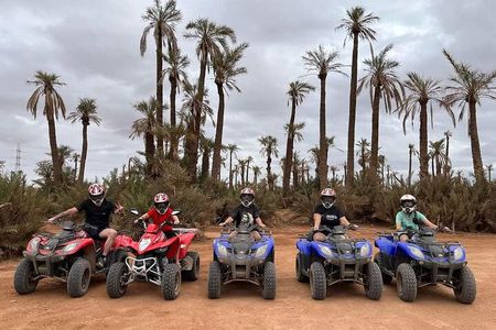 3 Hours Quad Excursion to the palm grove and Jbilat Desert