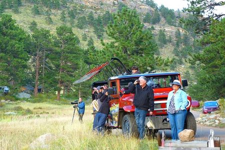 Wildside 4X4's Elk Watching Tour