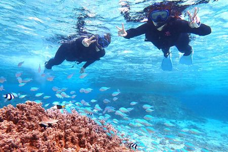 [Okinawa Miyako] Natural Aquarium! Tropical Snorkeling.