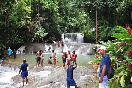 Private Tour from Negril to YS Falls and Pelican Bar 