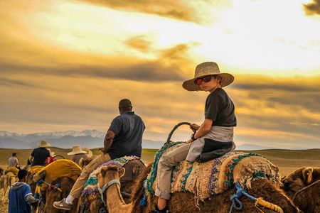 Agafay desert - Quad, camel, and dinner show