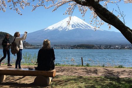 Mt Fuji Private Sightseeing Day Trip With English Speaking Driver