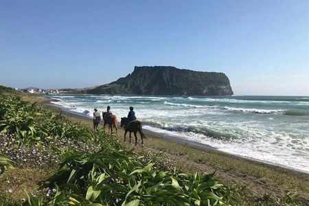 Jeju your way (private tour )