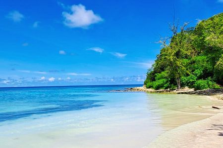 Stingray City experience, Devils Bridge and Long Bay Beach