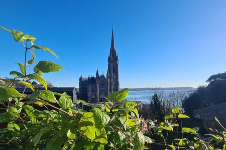 Private tour of, Blarney Castle, Cork City and Kinsale