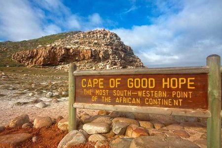 Full Day Private Tour of the Cape Peninsula and Boulders Penguins