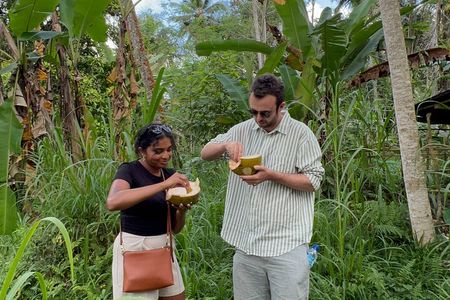 jungle tracking explore Hidden areas in North Ubud