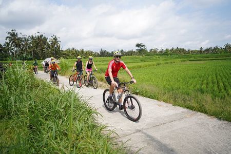Electric Bike and Swing Package 