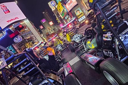 Tokyo Street Private Tour by Go Kart (60 minutes course)