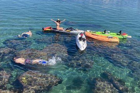 Kayak with Sea Lions in a Calm, Beautiful, Redondo Beach Harbor