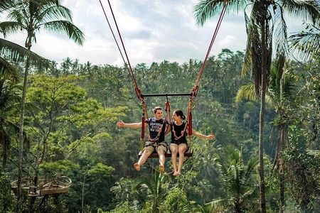 Private Tour in Ubud with Jungle Swing