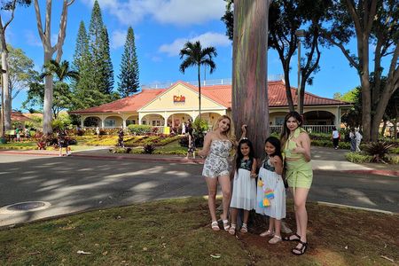 Waimea Botanical Garden & Waterfall and Pali Lookout