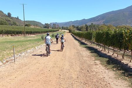 Franschhoek Shared E-Bike and Wine Tour