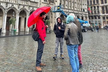 Private Historical Tour: Highlights of Brussels