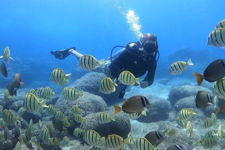 Beginner Scuba Experience with Video Package in Honolulu
