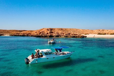 Snorkelling Trip at Dimaniyat Islands