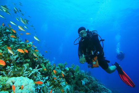 Orange Island Scuba Diving and Snorkeling Tour from Hurghada