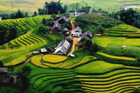 Full Day Tour in Sapa Trekking with Local guide 