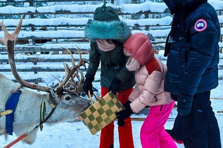 Santa Village VIP Tour PRIVATE 3 course lunch in Glass Igloo