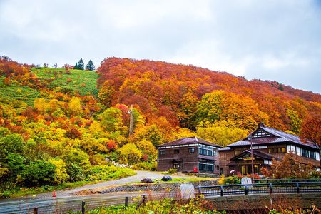 Aomori Private Customizable 6-Hour Tour