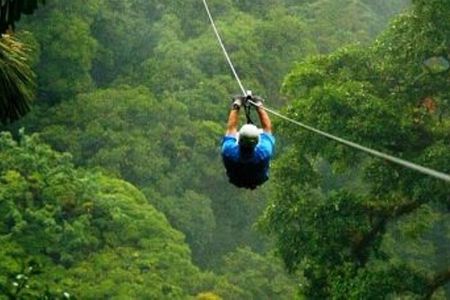 Day Trip to Kereita Forest and Ziplining 