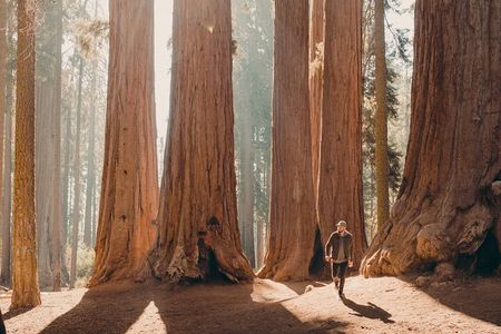 Sequoia & Kings Canyon Two Day Private Tour and Hike