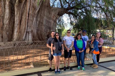 Tule, Mitla & Hierve el Agua Full-Day Tour with Certified Guide