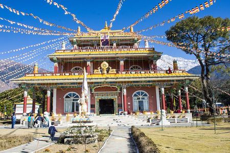 Palampur's Guided Day Tour: Discover the Tea Capital.