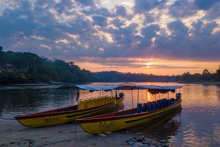 Tropical Escape: 3 Days Amazon Rainforest Tour from Quito