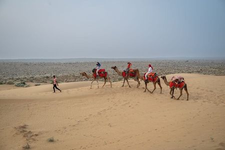 Overnight Camel Safari - Sleeping under the Stars