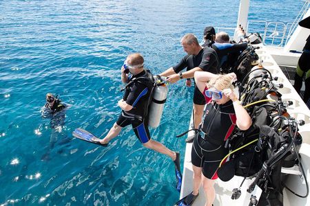 8 Hours Snorkeling with Lunch and Transfer in Sharm El-Sheikh